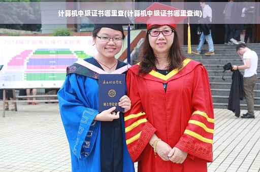 计算机中级证书哪里查(计算机中级证书哪里查询)
