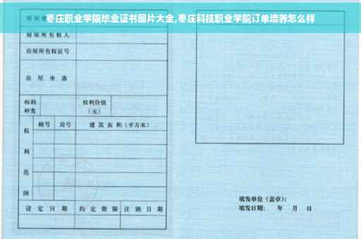 枣庄职业学院毕业证书图片大全,枣庄科技职业学院订单培养怎么样