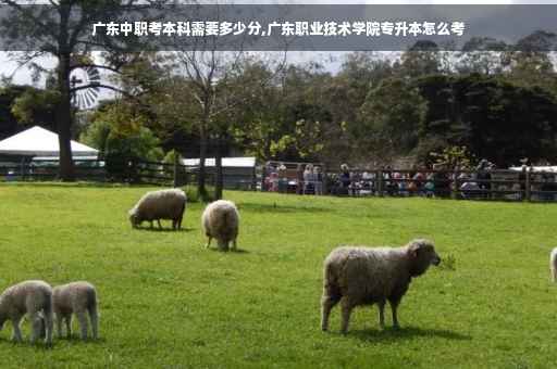 广东中职考本科需要多少分,广东职业技术学院专升本怎么考
