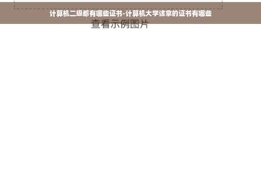 计算机二级都有哪些证书-计算机大学该拿的证书有哪些