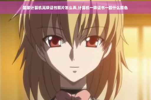 国家计算机高级证书照片怎么弄,计算机一级证书一般什么颜色