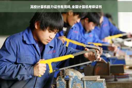 高校计算机能力证书有用吗,全国计算机考级证书