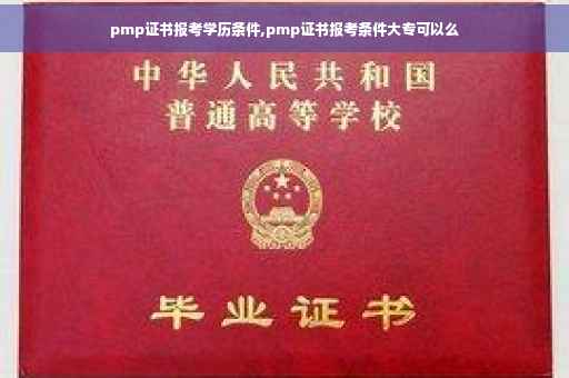 pmp证书报考学历条件,pmp证书报考条件大专可以么