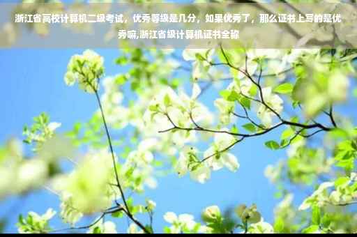 浙江省高校计算机二级考试，优秀等级是几分，如果优秀了，那么证书上写的是优秀嘛,浙江省级计算机证书全称