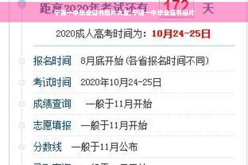 宁强一中毕业证书图片大全,宁强一中毕业证书图片