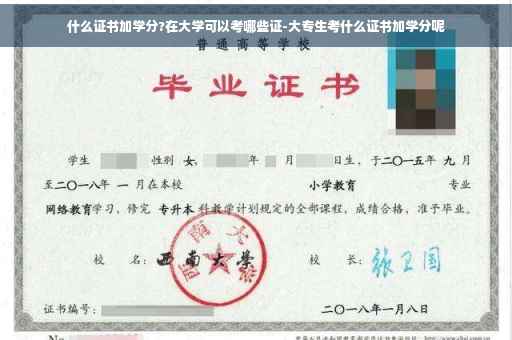 什么证书加学分?在大学可以考哪些证-大专生考什么证书加学分呢