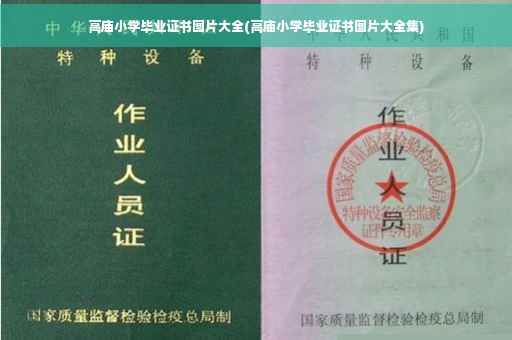 高庙小学毕业证书图片大全(高庙小学毕业证书图片大全集)