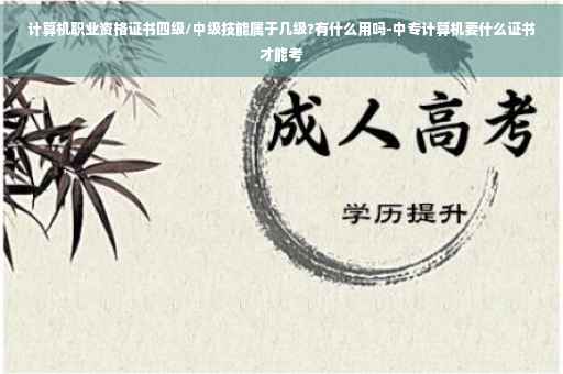 计算机职业资格证书四级/中级技能属于几级?有什么用吗-中专计算机要什么证书才能考