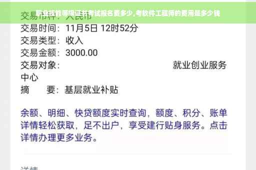 职业技能等级证书考试报名费多少,考软件工程师的费用是多少钱