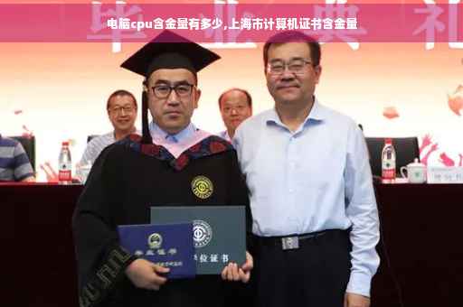 电脑cpu含金量有多少,上海市计算机证书含金量