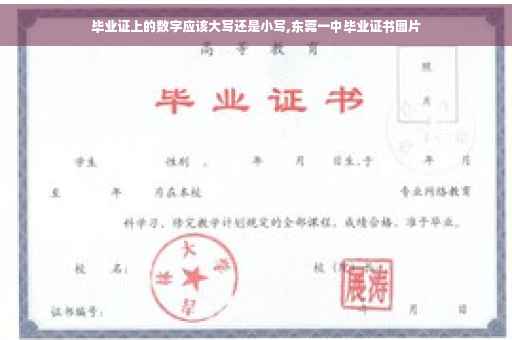 毕业证上的数字应该大写还是小写,东莞一中毕业证书图片
