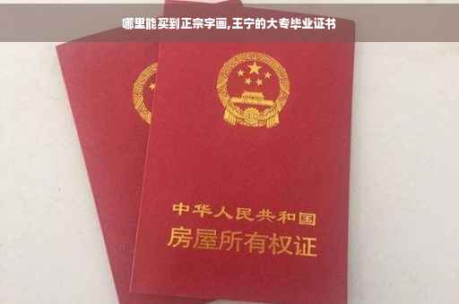 哪里能买到正宗字画,王宁的大专毕业证书