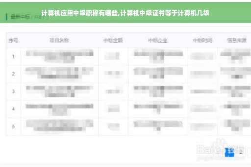 计算机应用中级职称有哪些,计算机中级证书等于计算机几级