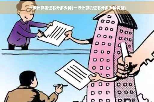 一级计算机证书分多少种(一级计算机证书分多少种类型)