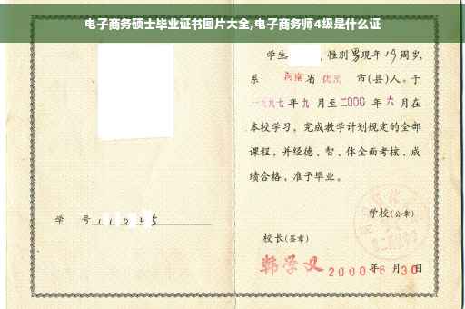 电子商务硕士毕业证书图片大全,电子商务师4级是什么证