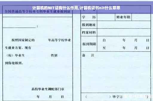 计算机的NIT证有什么作用,计算机证书nit什么意思 计算机的NIT证有什么作用,计算机证书nit什么意思