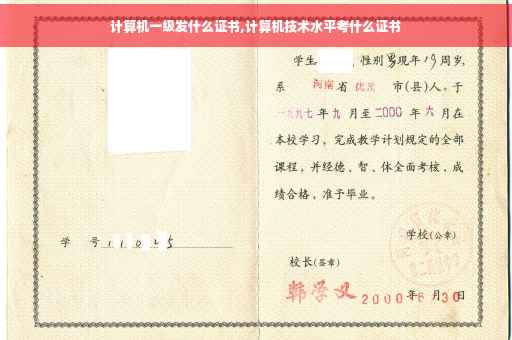 计算机一级发什么证书,计算机技术水平考什么证书
