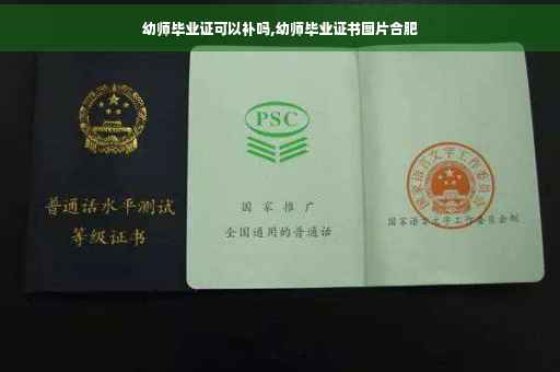 幼师毕业证可以补吗,幼师毕业证书图片合肥