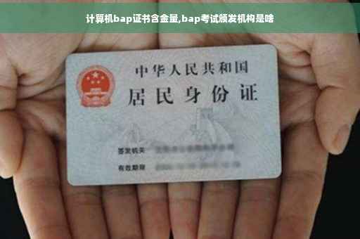 计算机bap证书含金量,bap考试颁发机构是啥
