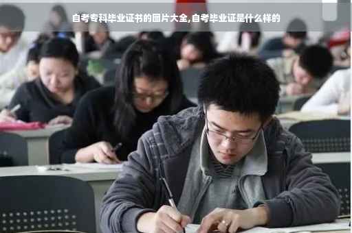 自考专科毕业证书的图片大全,自考毕业证是什么样的