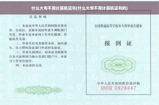 什么大专不用计算机证书(什么大专不用计算机证书的)