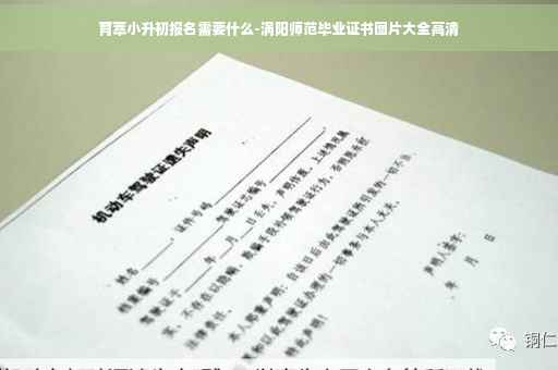 育萃小升初报名需要什么-涡阳师范毕业证书图片大全高清