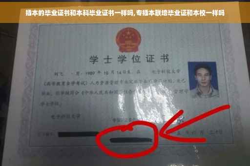 插本的毕业证书和本科毕业证书一样吗,专插本联培毕业证和本校一样吗