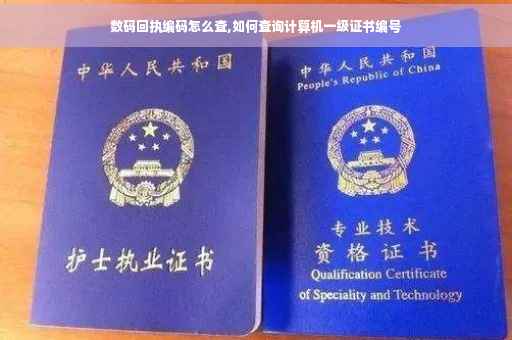 数码回执编码怎么查,如何查询计算机一级证书编号