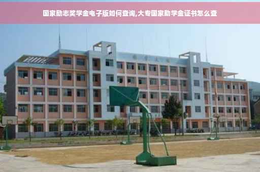 国家励志奖学金电子版如何查询,大专国家助学金证书怎么查
