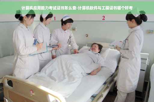 计算机应用能力考试证书怎么查-计算机软件与工程证书哪个好考
