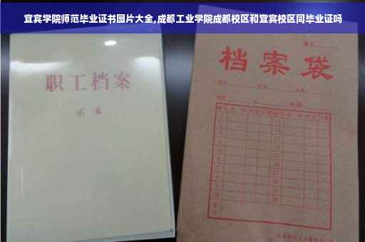 宜宾学院师范毕业证书图片大全,成都工业学院成都校区和宜宾校区同毕业证吗