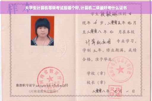 大学生计算机等级考试报哪个好,计算机二级最好考什么证书