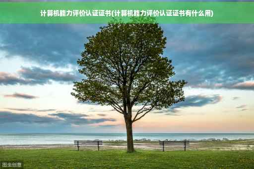 计算机能力评价认证证书(计算机能力评价认证证书有什么用) 计算机能力评价认证证书(计算机能力评价认证证书有什么用)