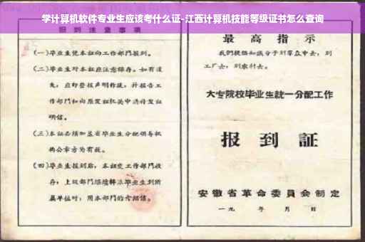 学计算机软件专业生应该考什么证-江西计算机技能等级证书怎么查询