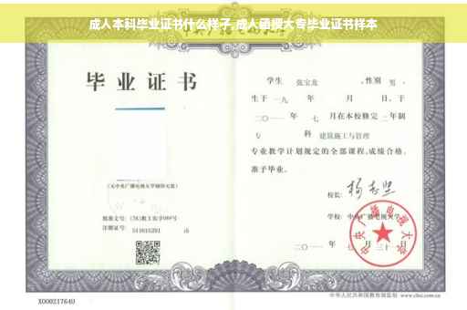 成人本科毕业证书什么样子,成人函授大专毕业证书样本 成人本科毕业证书什么样子,成人函授大专毕业证书样本