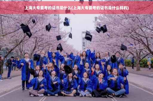 上海大专要考的证书是什么(上海大专要考的证书是什么样的)