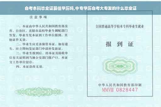 自考本科毕业证算低学历吗,中专学历自考大专发的什么毕业证
