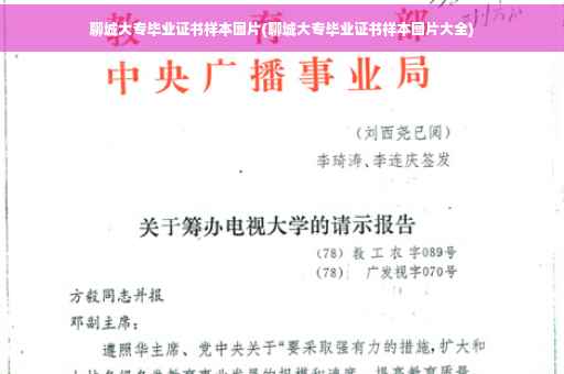 聊城大专毕业证书样本图片(聊城大专毕业证书样本图片大全)