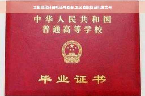 全国职称计算机证书查询,怎么查职称证批准文号
