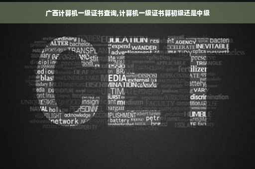 广西计算机一级证书查询,计算机一级证书算初级还是中级