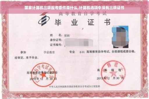 国家计算机三级报考条件是什么,计算机选项中没有三级证书