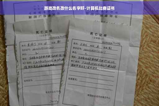 游戏改名改什么名字好-计算机比赛证书