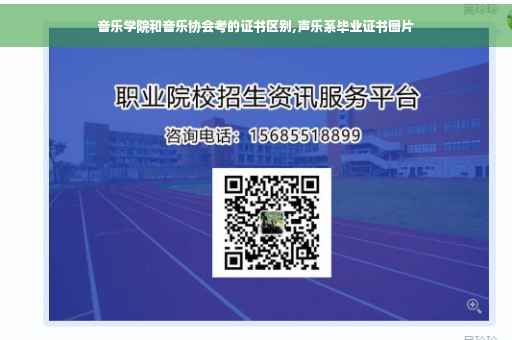 音乐学院和音乐协会考的证书区别,声乐系毕业证书图片