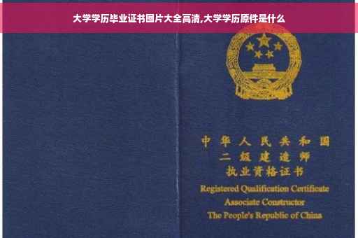 大学学历毕业证书图片大全高清,大学学历原件是什么