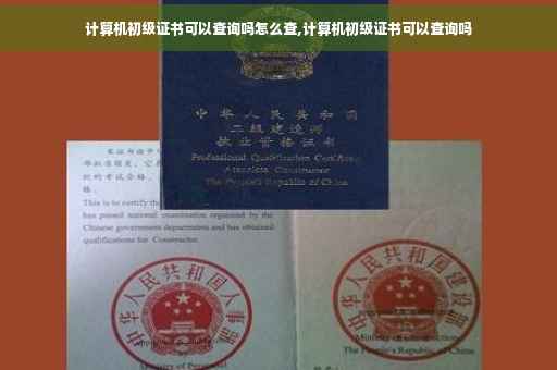 计算机初级证书可以查询吗怎么查,计算机初级证书可以查询吗