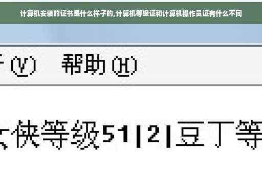 计算机安装的证书是什么样子的,计算机等级证和计算机操作员证有什么不同