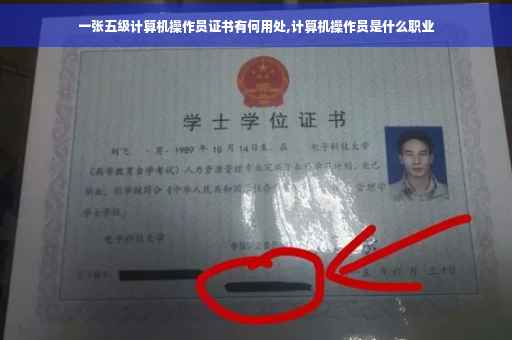 一张五级计算机操作员证书有何用处,计算机操作员是什么职业