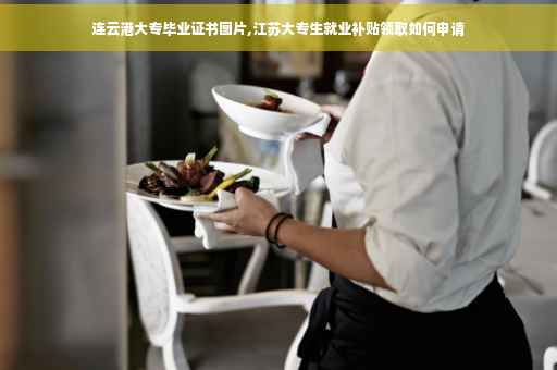 连云港大专毕业证书图片,江苏大专生就业补贴领取如何申请