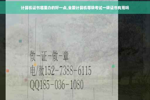 计算机证书哪里办的好一点,全国计算机等级考试一级证书有用吗