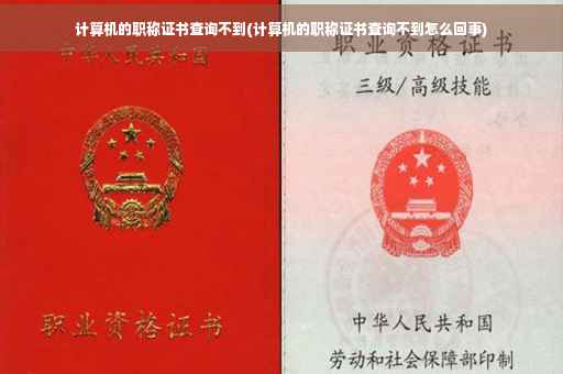 计算机的职称证书查询不到(计算机的职称证书查询不到怎么回事)